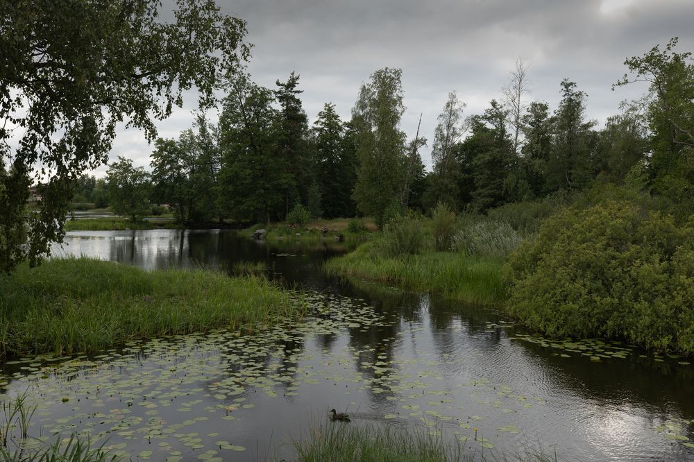 Photograph by Вячеслав Криволуцкий