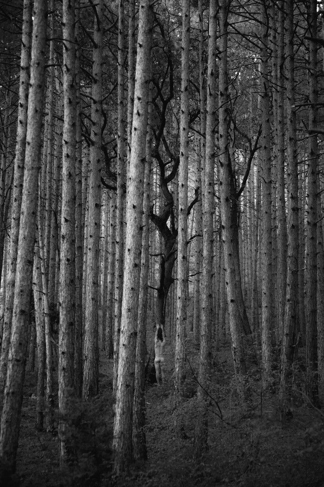 Photograph by Anastasia