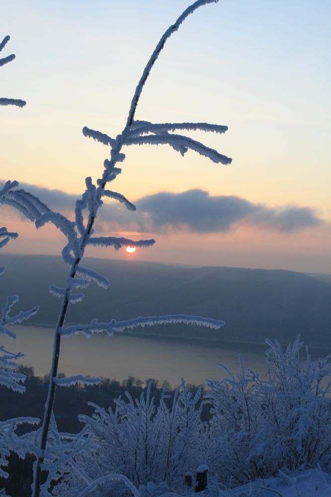 Фотография автора Татьяна Шебаршенко