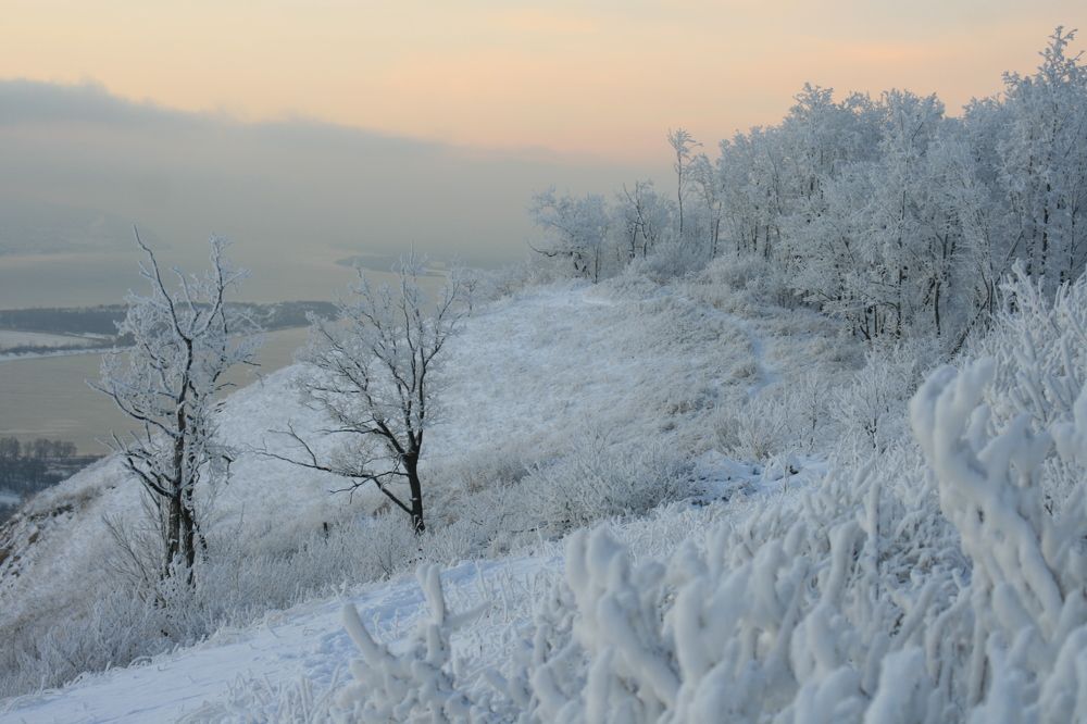 Фотография автора Татьяна Шебаршенко