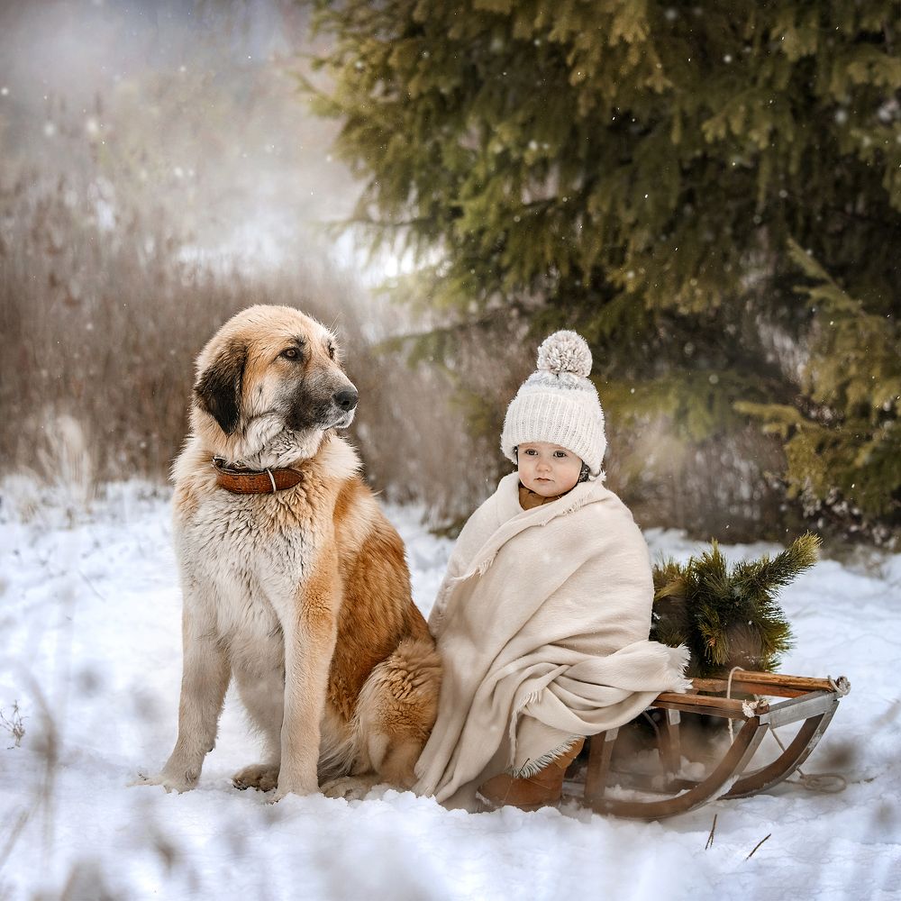 Photograph by Татьяна Тихомирова