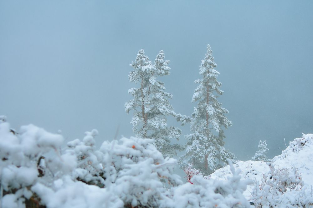 Photograph by Амир Гильмутдинов