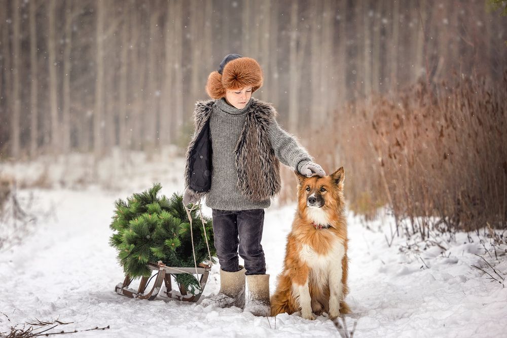 Photograph by Татьяна Тихомирова