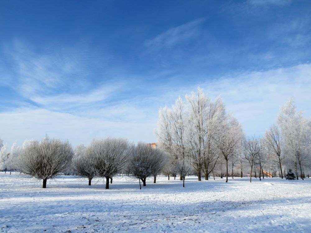 Winter 2021 in Mogilev
