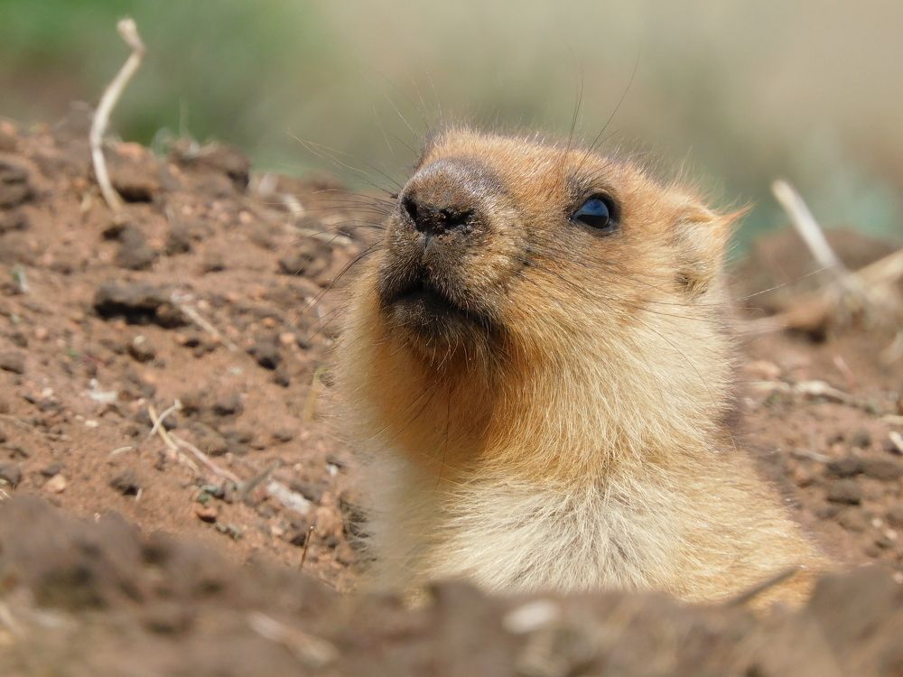 Photograph by Артур