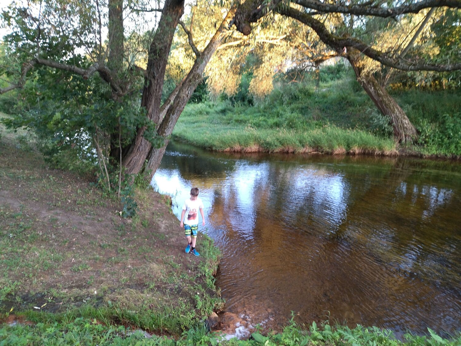 Photo #6892624