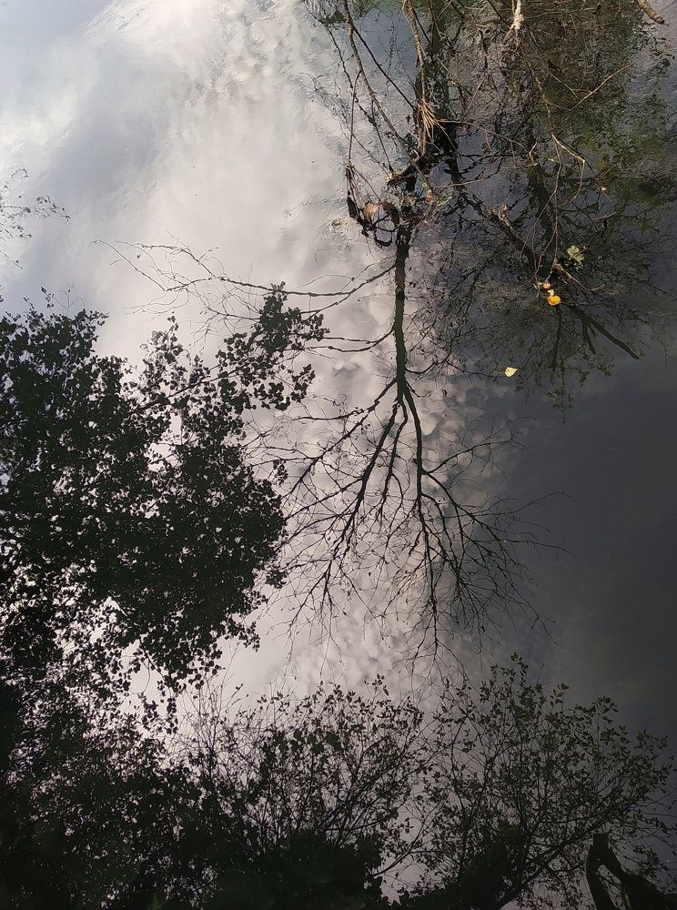 Photograph by Людмила М