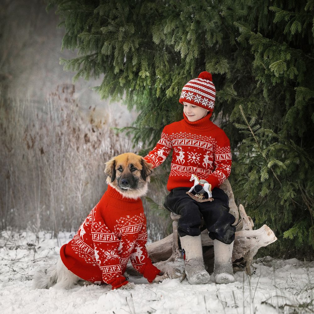 Photograph by Татьяна Тихомирова