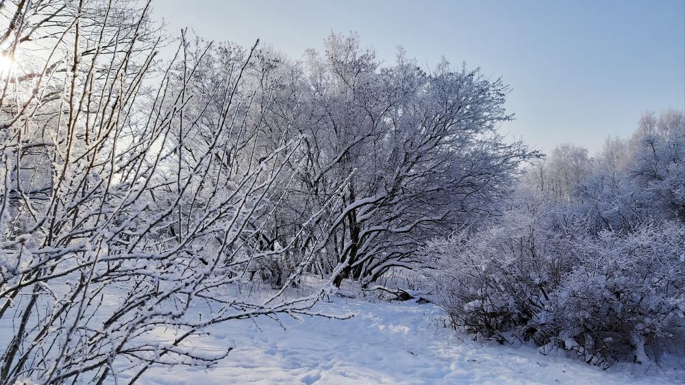 Photograph by Александр Мещеряков