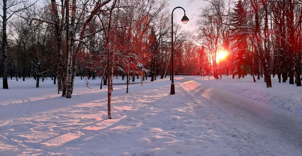 Photograph by Александр Мещеряков