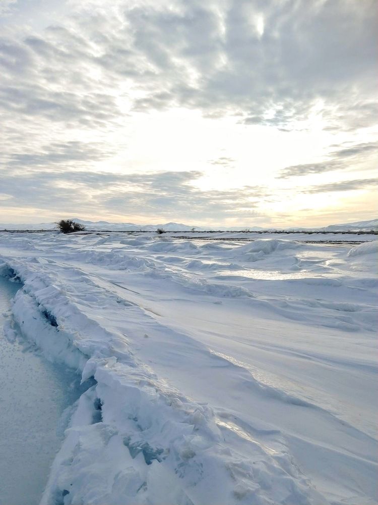 Снежное безмолвие
