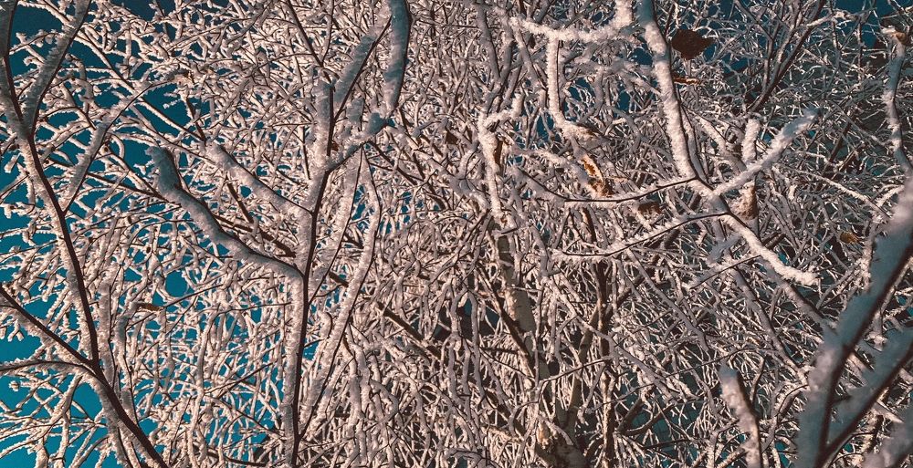 Photograph by _ AZIMOV