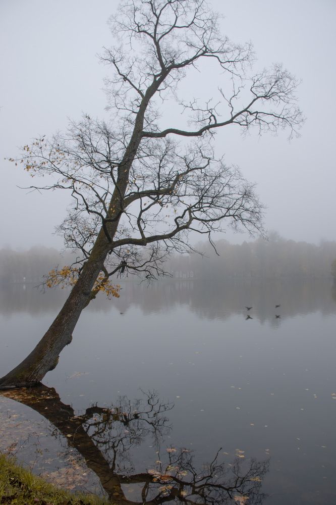 Фотография автора Татьяна Чугунова