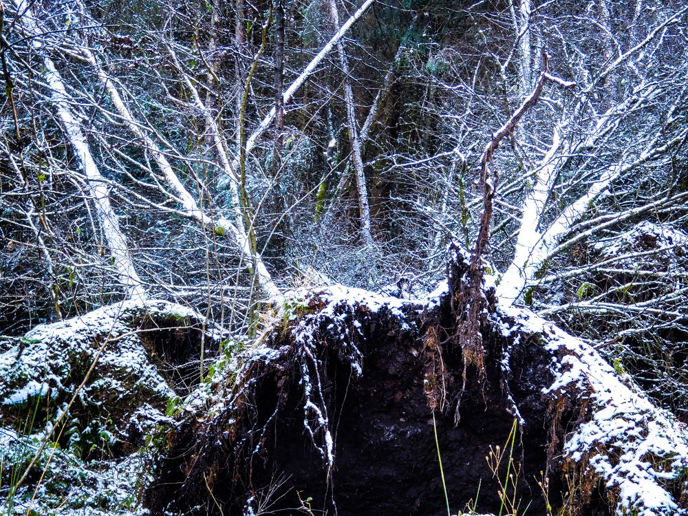 Фотография автора Michael Gault