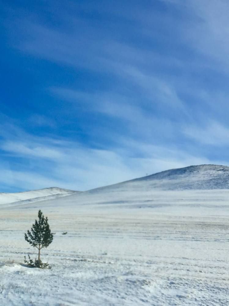 Плавные линии