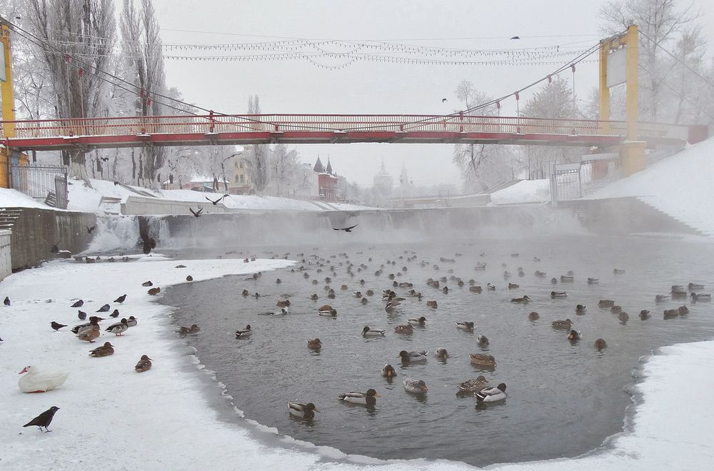 Мост через Орлик зимой