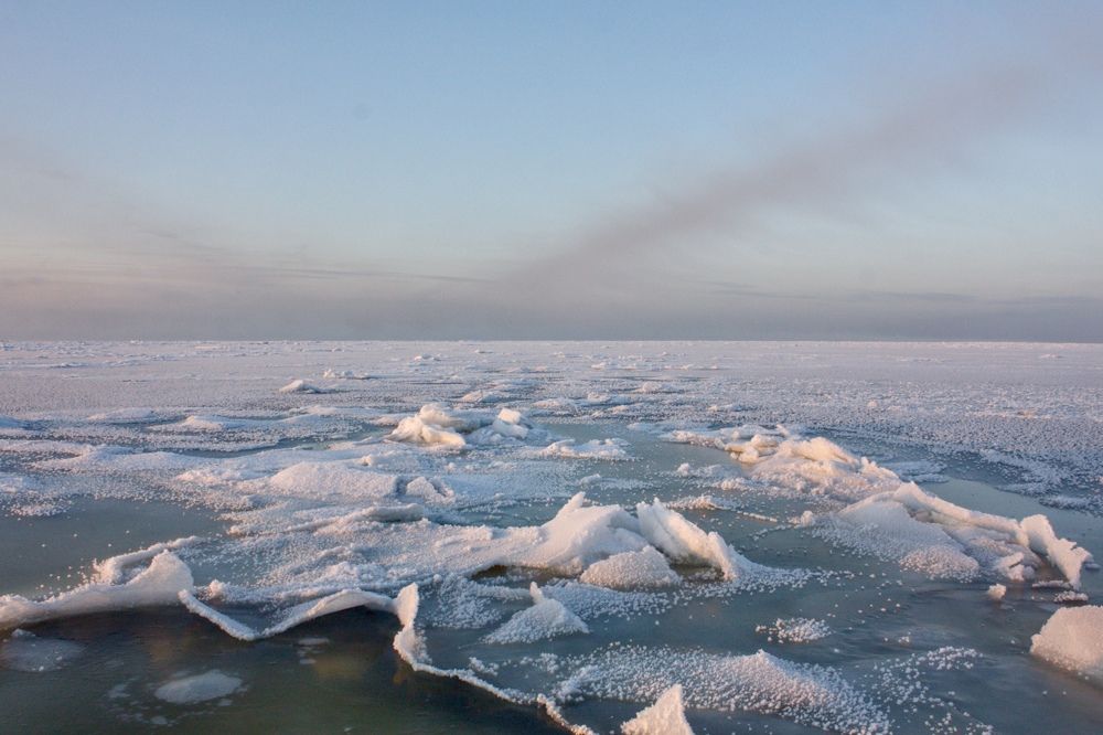 Photograph by Никита Павлов