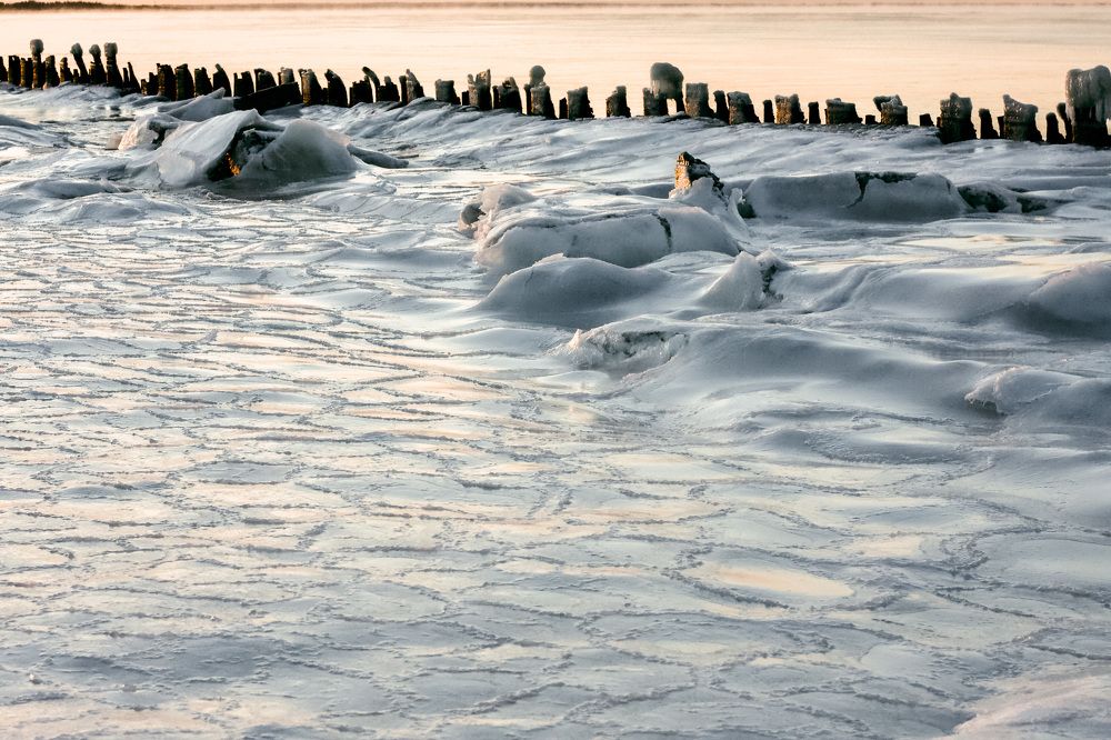 Photograph by Никита Павлов