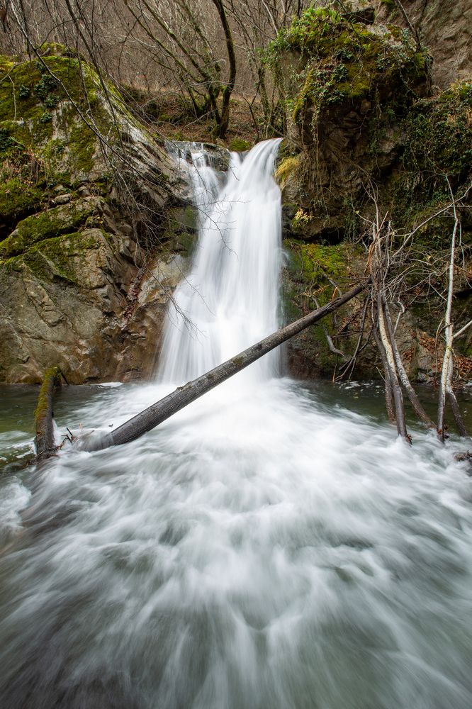 Photograph by Evgeny Ruban