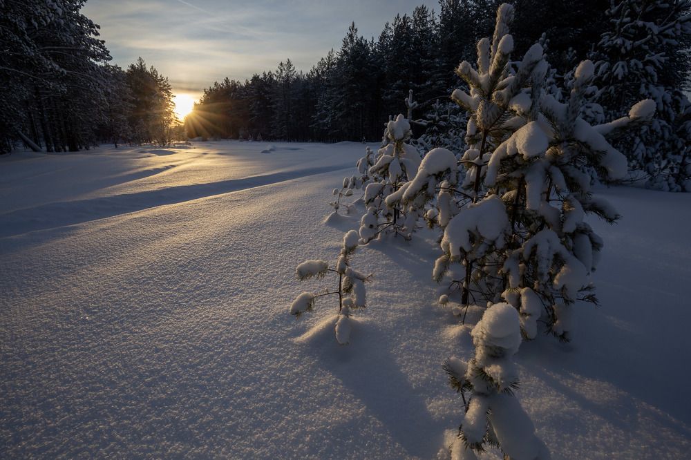 Photograph by Елена Хорохорина