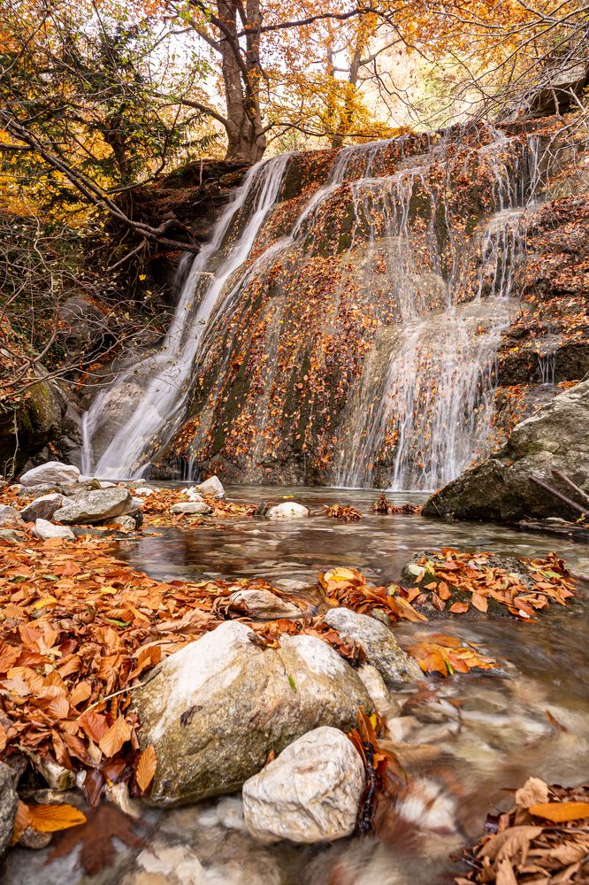 Платье осени.