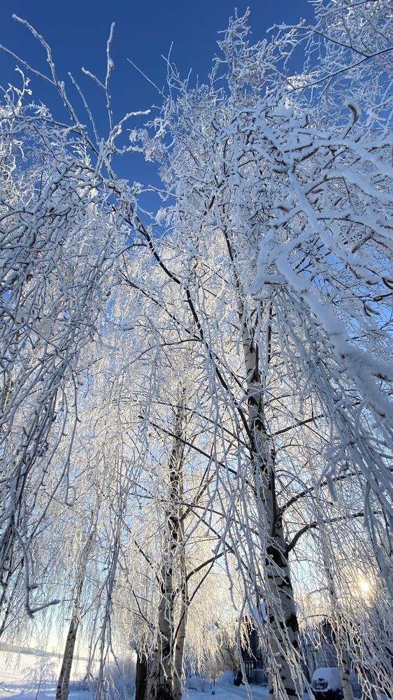 Photograph by Юлия Зеленева