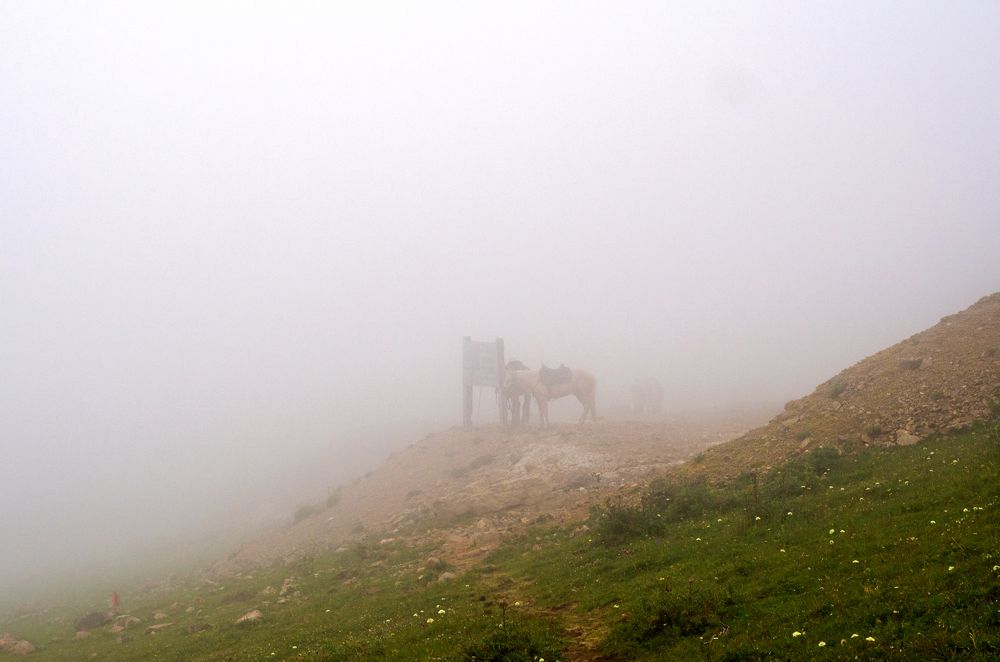 Photograph by Анастасия Коротеева