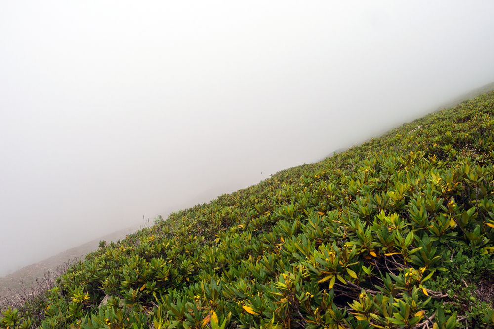 Photograph by Анастасия Коротеева