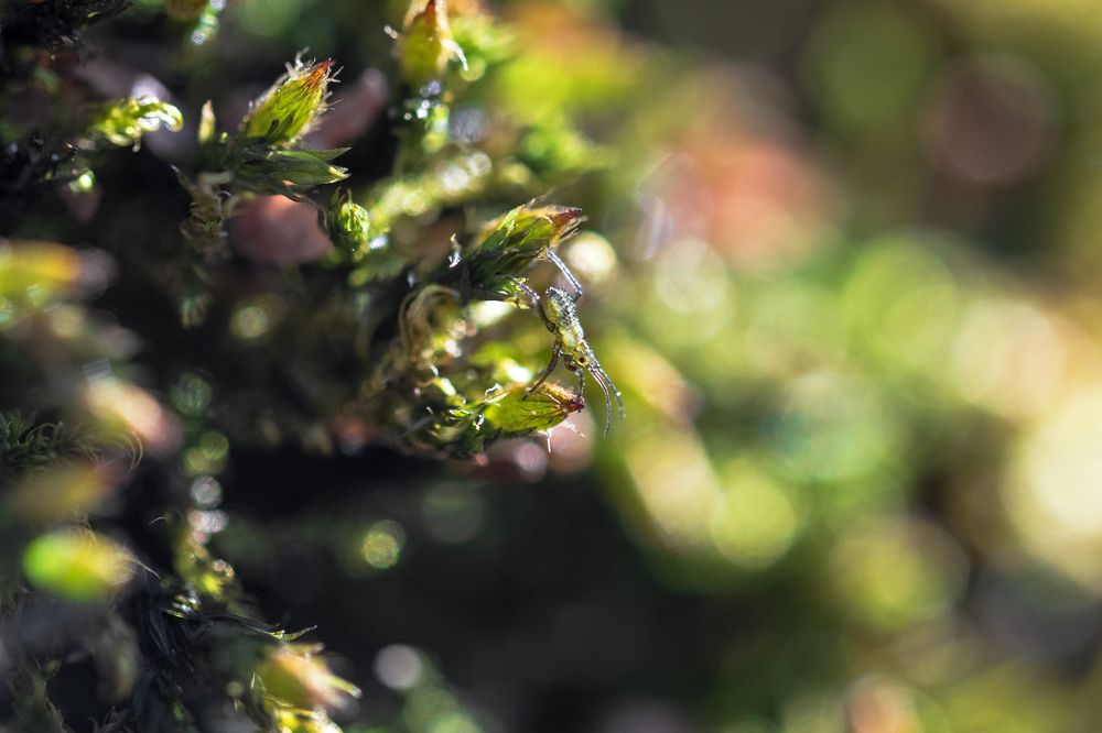 Photograph by Анастасия Коротеева