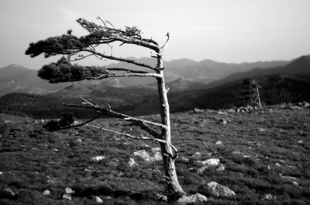 Photograph by Damir Gržin