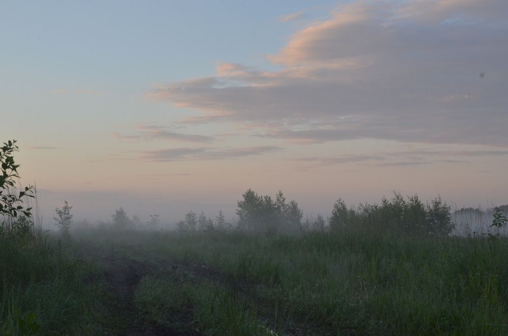 Photograph by Ольга