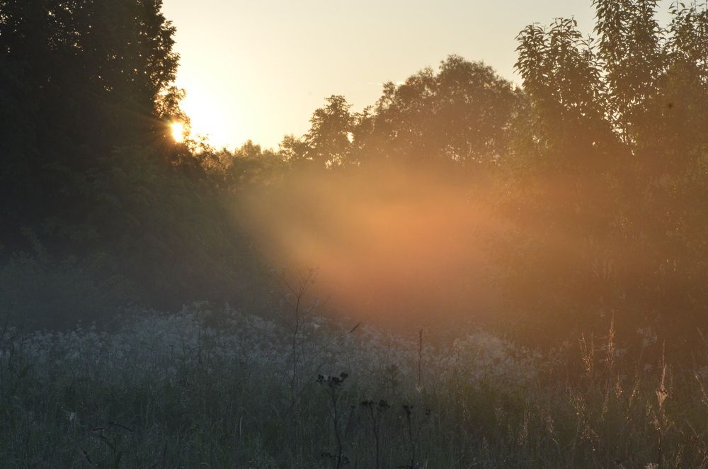 Photograph by Ольга