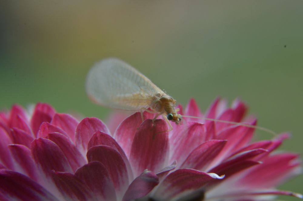 Photograph by Ольга