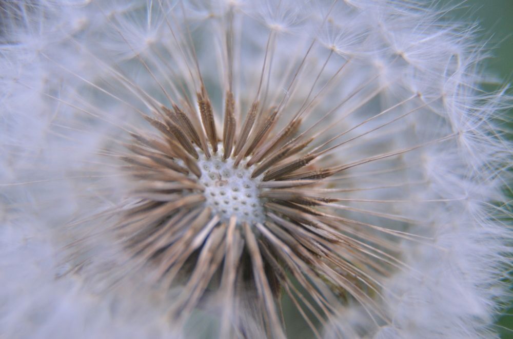 Photograph by Ольга