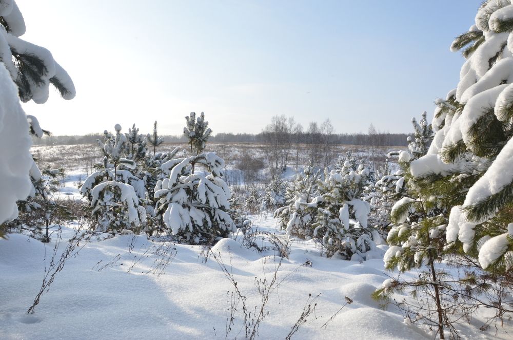 Photograph by Ольга