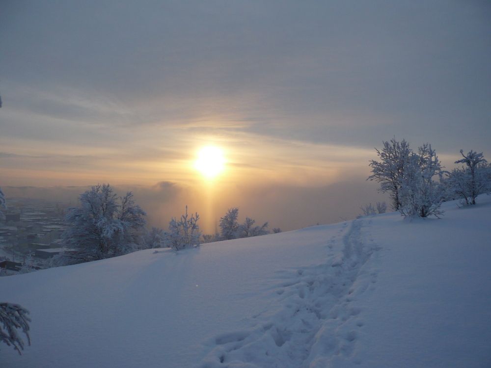 Зимними тропами...