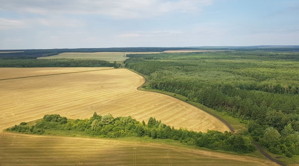 Летняя палитра