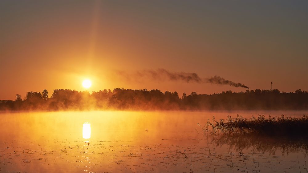 Золотой рассвет