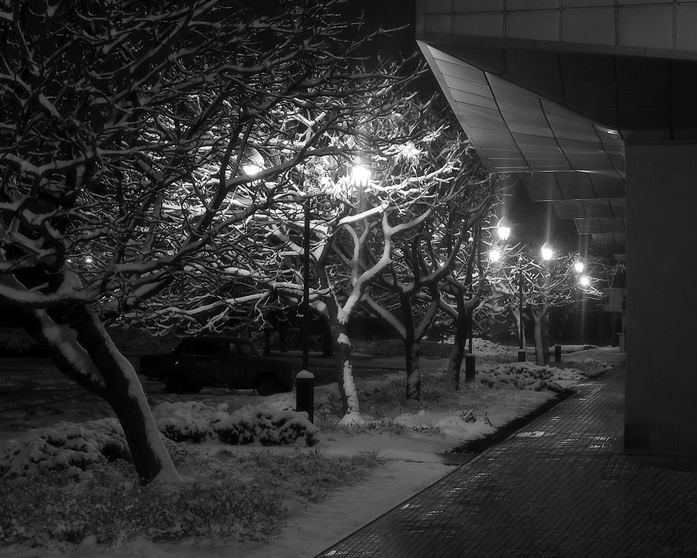 Photograph by Леонид Соснин