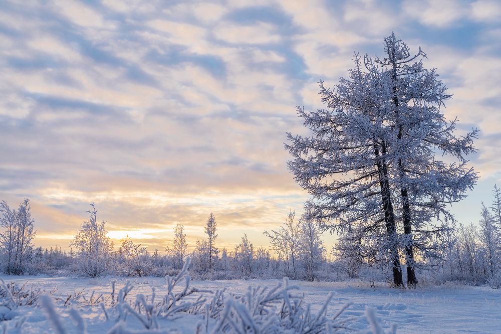 Фотография автора Евгения Шаравар
