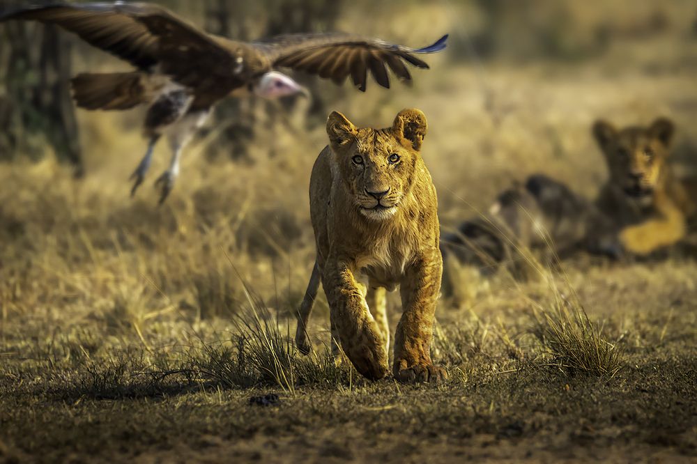 Photograph by Soumen Ghosh