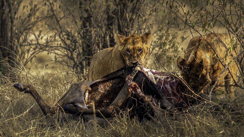 Photograph by Soumen Ghosh