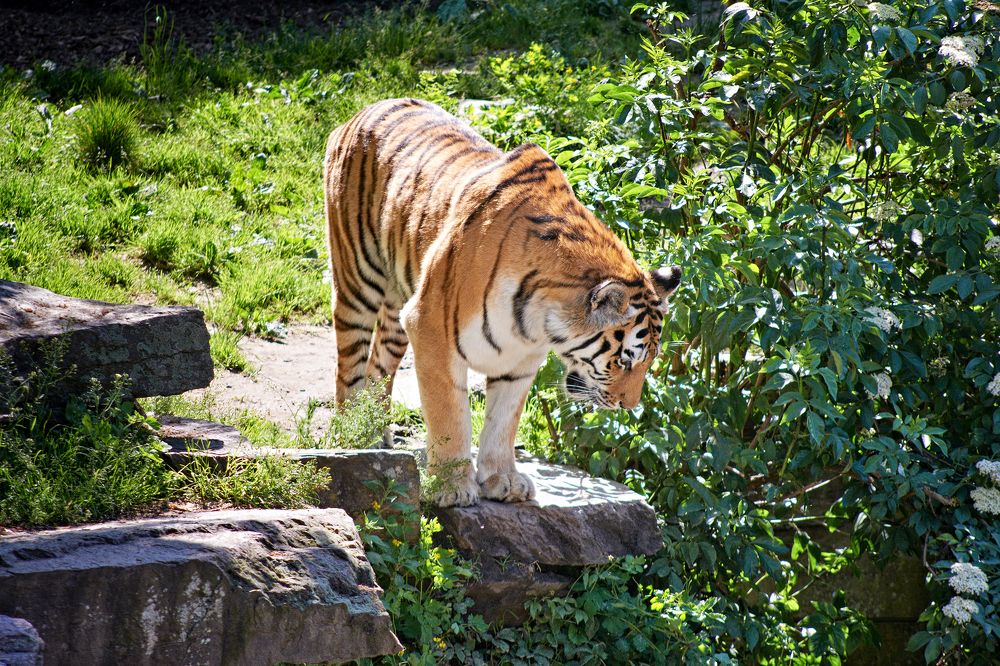 Photograph by Валерий