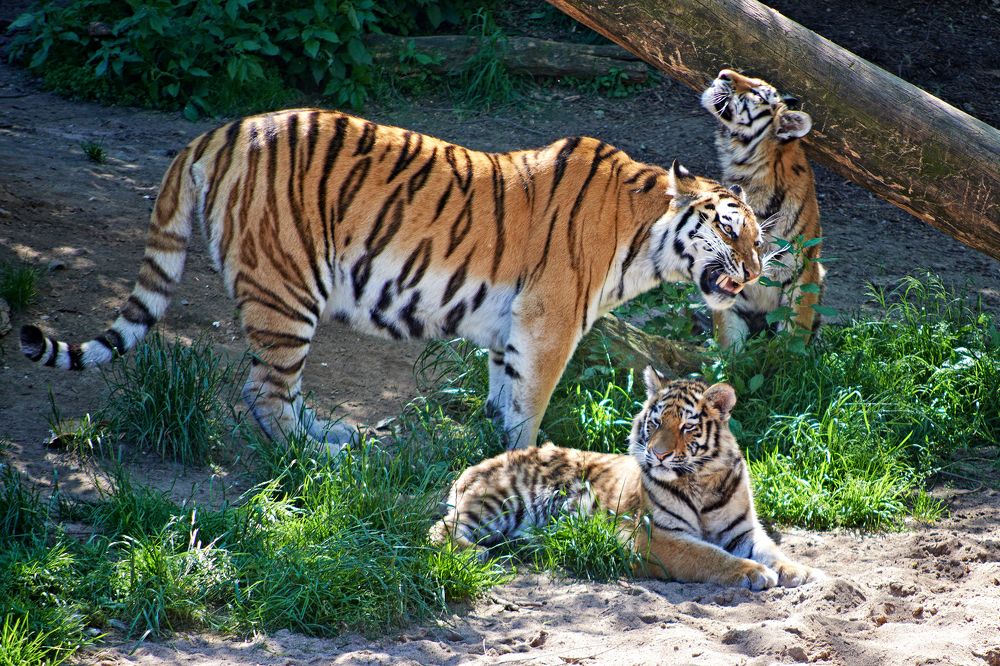 Photograph by Валерий