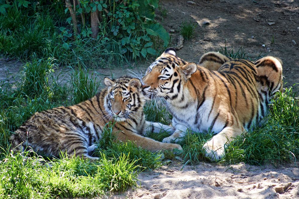 Photograph by Валерий