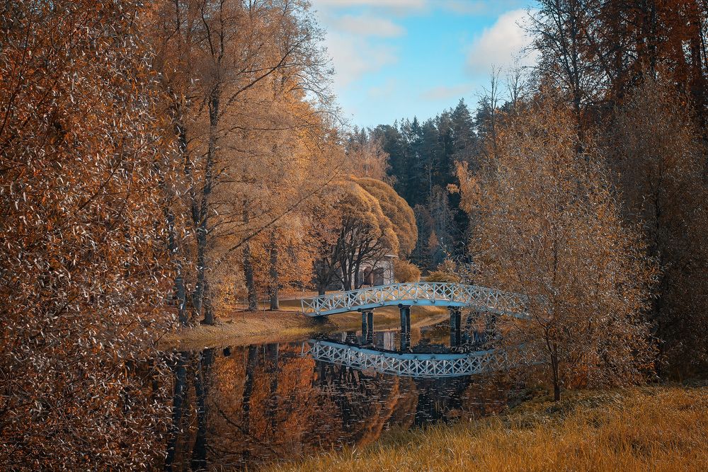 Осенний портал