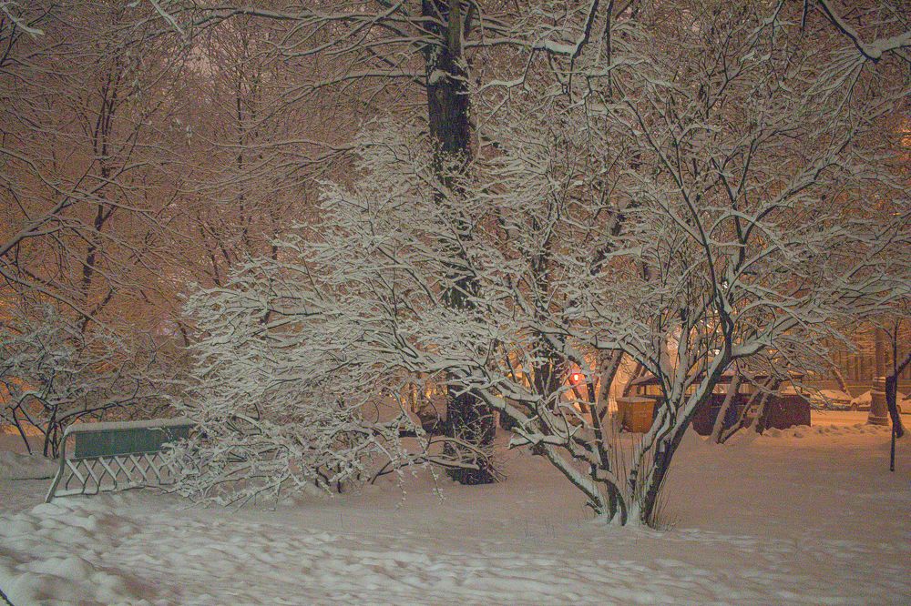 Снегопад. Ночь. Столица