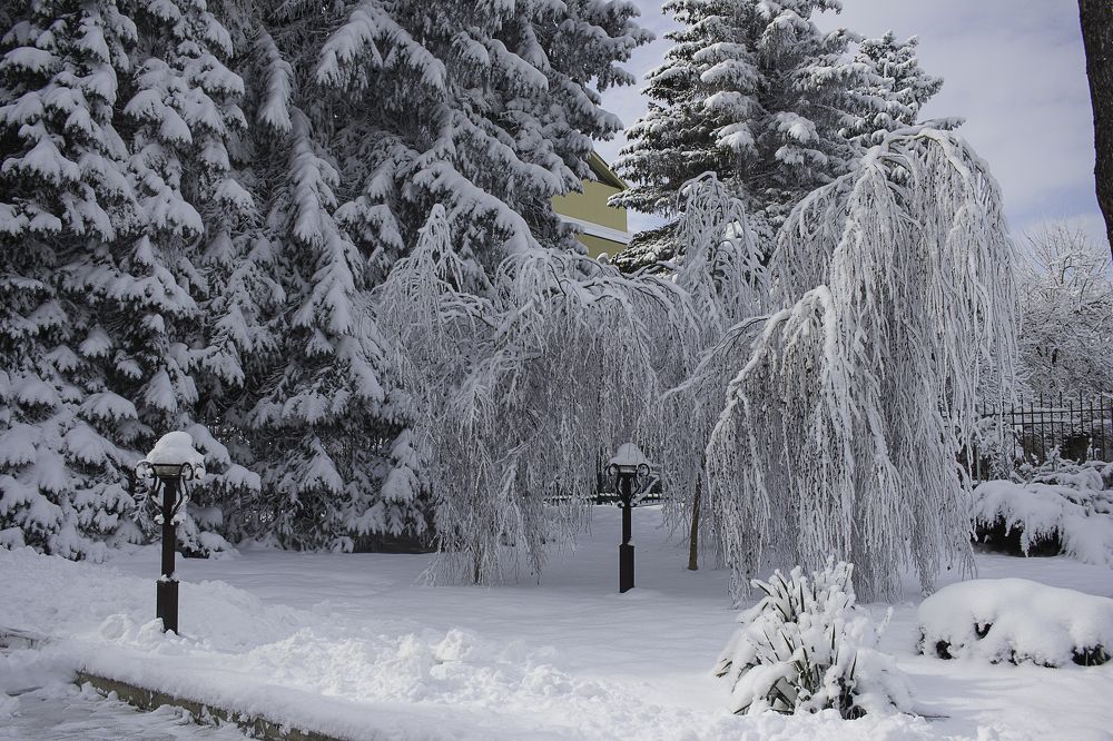 Photograph by Елена Шахова