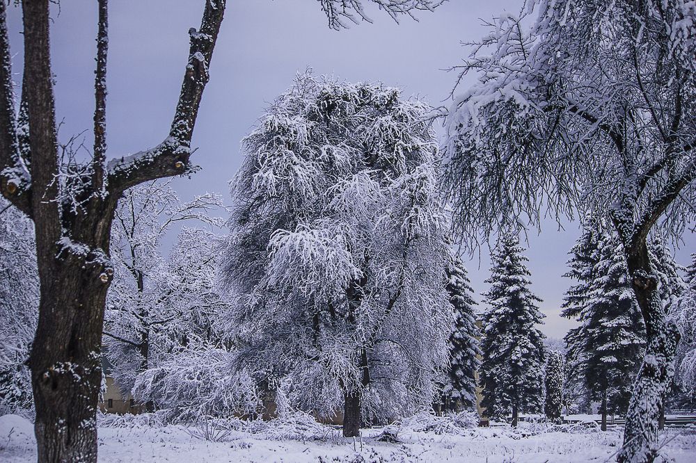 Photograph by Елена Шахова