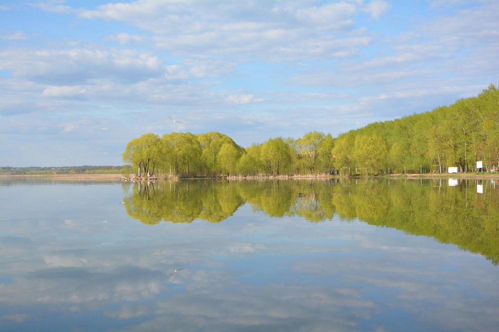 Photograph by Мария Мазикина